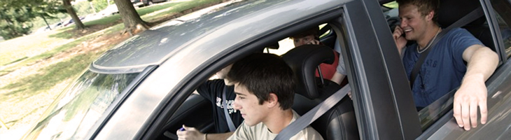 NORMATIVE DATASET OF NOVICE DRIVERS