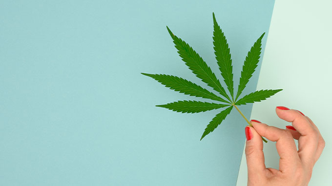 marijuana