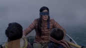 Bird Box Challenge