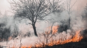 natural disaster