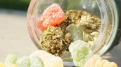 Gummies