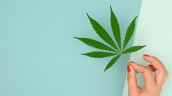 marijuana