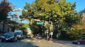 developing a new traffic safety resource