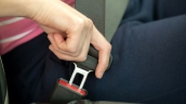 seatbelt