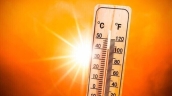 Hot cars