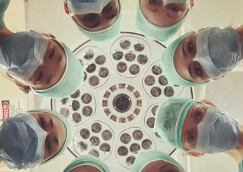          Emergency departments look inward to deepen practices that support traumatized patients