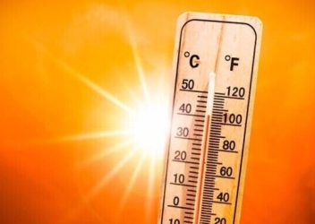 Hot cars